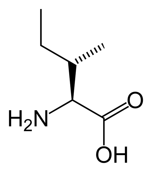 Diferencia entre leucina e isoleucina