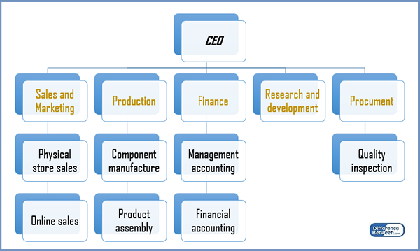 Diferencia entre la organización de línea y la organización funcional