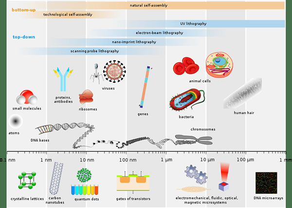 Différence entre macroscopie et microscopique