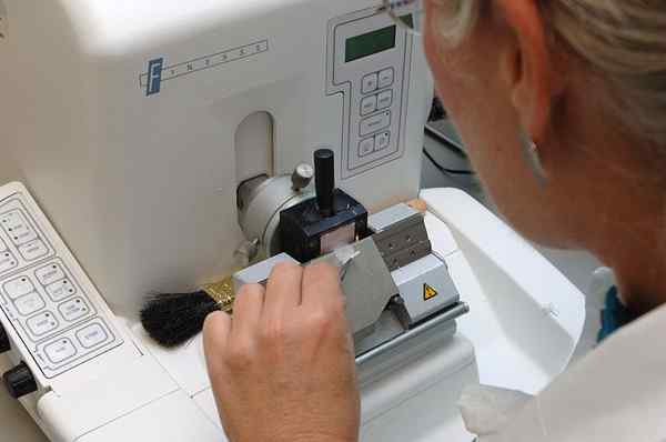 Perbezaan antara microtome dan ultramicrotomy