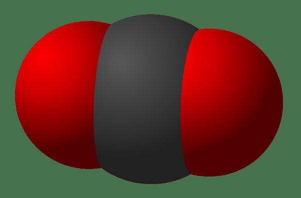 Diferencia entre la masa molar y la masa molecular