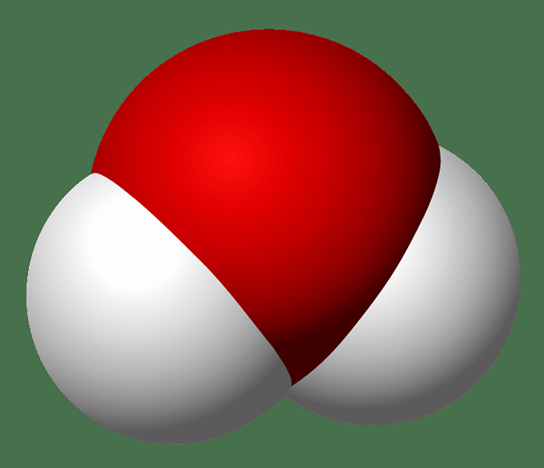 Diferencia entre la molécula y la red