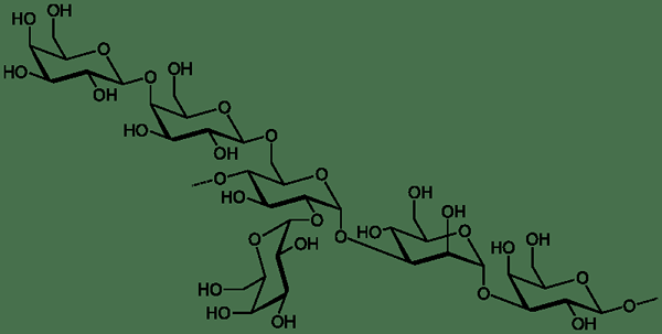 Unterschied zwischen Monosaccharid und Polysaccharid