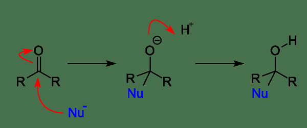 Unterschied zwischen nukleophiler und elektrophiler Addition