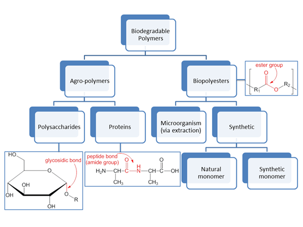 Unterschied zwischen Oligomer und Polymer