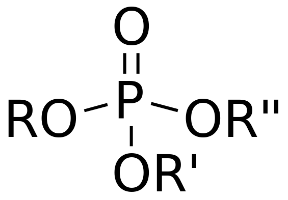 Diferencia entre el fosfato orgánico e inorgánico