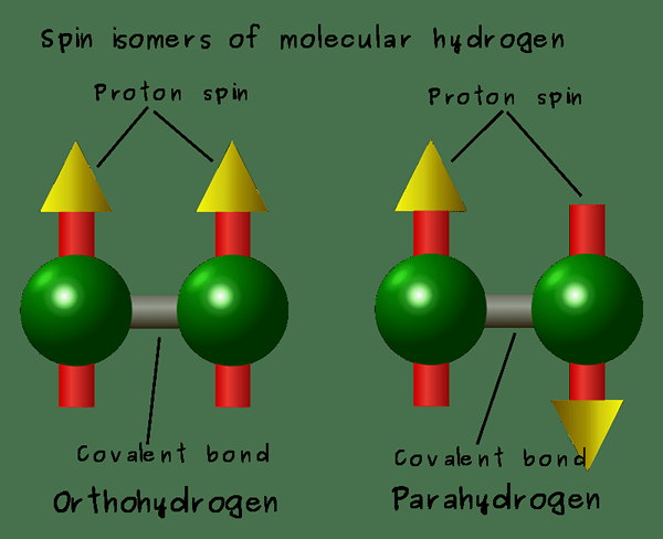 Diferencia entre orto y para hidrógeno