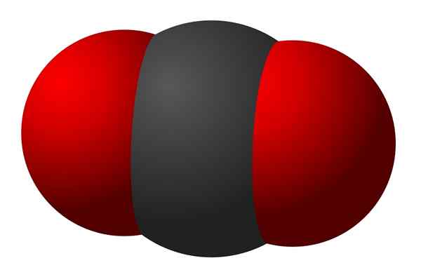 Diferencia entre oxígeno y dióxido de carbono