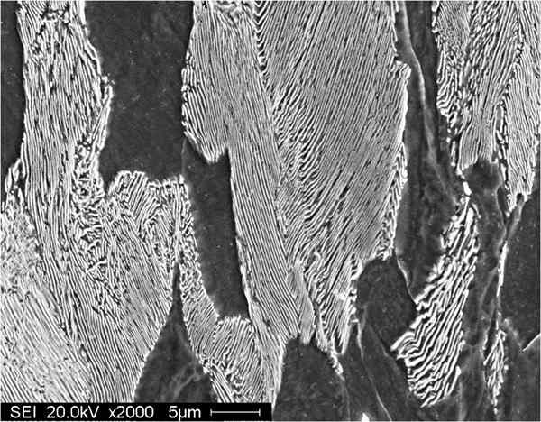 Différence entre la perlite et la bainite