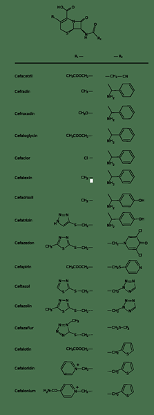 Unterschied zwischen Penicillin und Cephalosporin