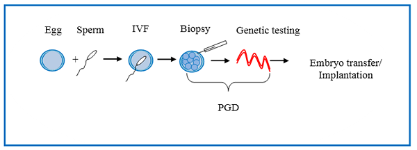 Diferencia entre PGS y PGD