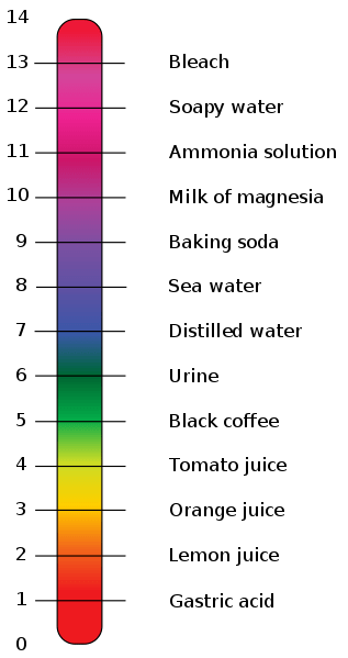 Perbezaan antara pH dan penyangga