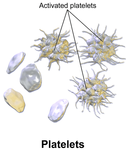 Différence entre les plaquettes et les facteurs de coagulation