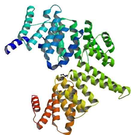 Unterschied zwischen Polymer und Makromolekül