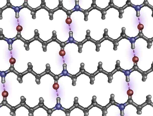 Perbedaan antara polimer dan monomer