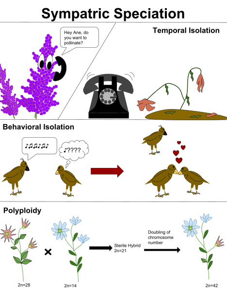 Perbedaan antara prezygotic dan postzygotic