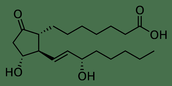 Perbezaan antara prostaglandin E1 dan E2