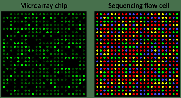 Différence entre la protéomique et la transcriptomique