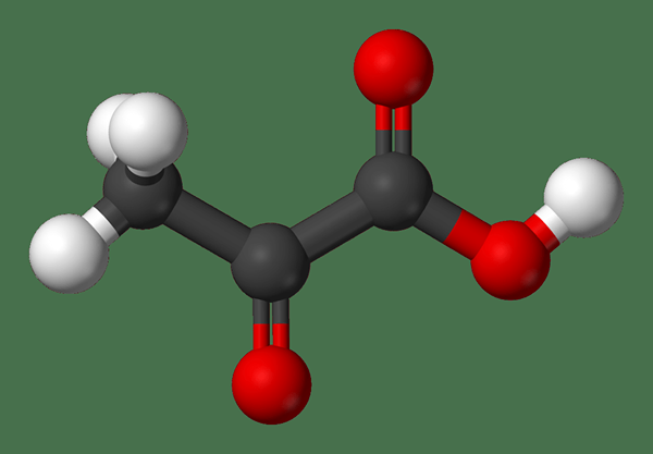 Unterschied zwischen Pyruvat und Pyruvinsäure