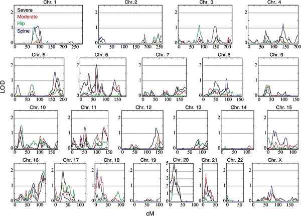 Unterschied zwischen QTL und GWAS