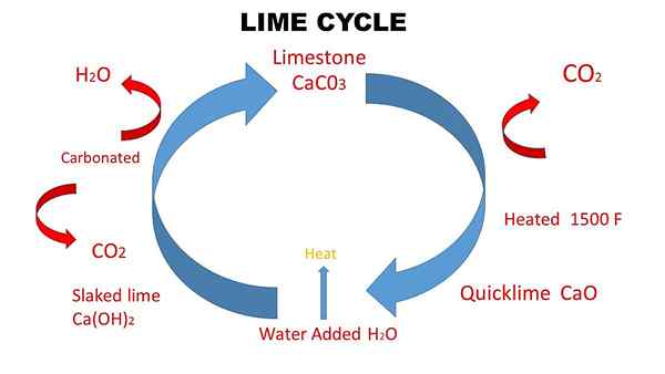 Perbedaan antara QuickLime dan Lime terhidrasi