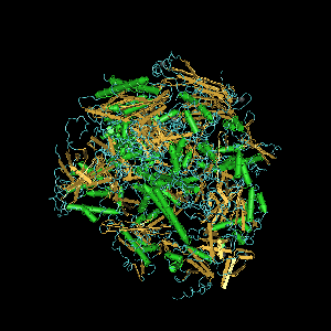 Unterschied zwischen RNA -Polymerase I II und III