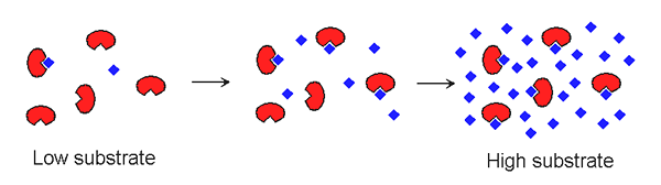 Différence entre liquide saturé et liquide comprimé