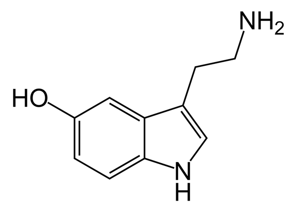 Perbezaan antara serotonin dan endorfin