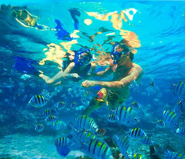 Perbedaan antara snorkeling dan scuba diving