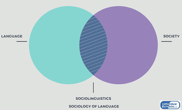 Différence entre la sociolinguistique et la sociologie du langage