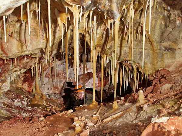 Perbezaan antara stalaktit dan stalagmit