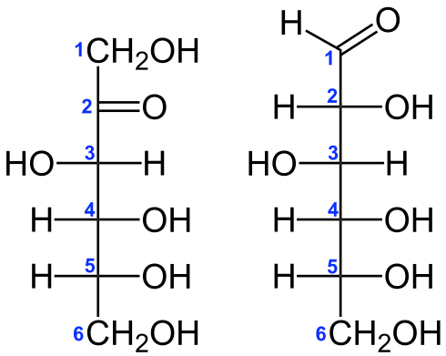 Perbezaan antara isomer struktur dan optik dalam karbohidrat