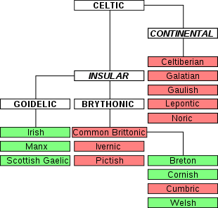 Différence entre la linguistique synchronique et diachronique