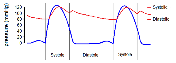 Perbedaan antara tekanan sistolik dan diastolik