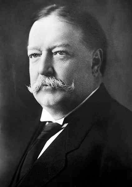 Unterschied zwischen Taft und Roosevelt