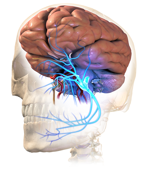 Perbedaan antara artteritis temporal dan neuralgia trigeminal