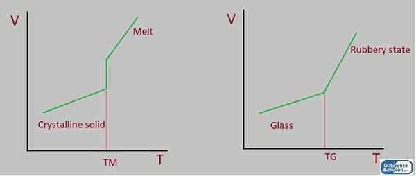 Différence entre les polymères TG et TM