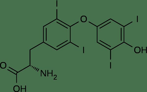 Perbezaan antara tiroksin dan triiodothyronine