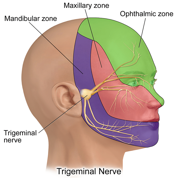 Diferencia entre TMJ y neuralgia trigémino