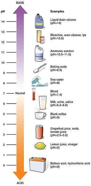 Perbedaan antara total alkalinitas dan pH