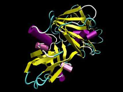 Unterschied zwischen Trypsin und Pepsin