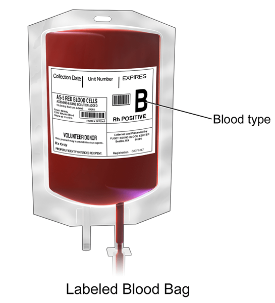 Diferencia entre la sangre completa y las células llenas