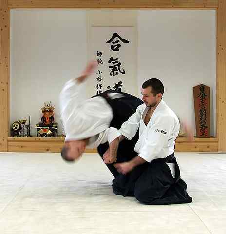 Unterschied zwischen Aikido und Hapkido