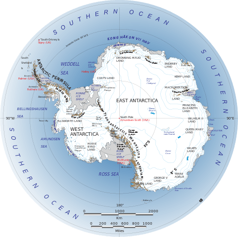 Différence entre l'Antarctique et l'Antarctique