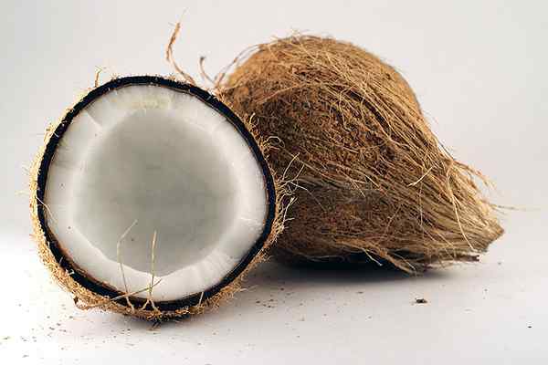 Perbedaan antara santan dan krim kelapa
