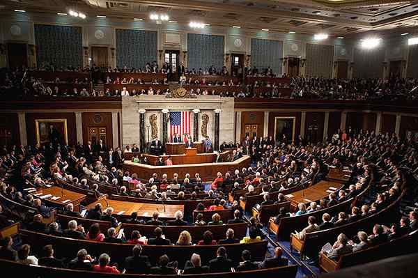 Unterschied zwischen Kongress und Senat