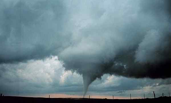 Perbedaan antara topan dan tornado