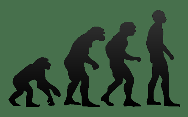 Unterschied zwischen Evolution und Revolution