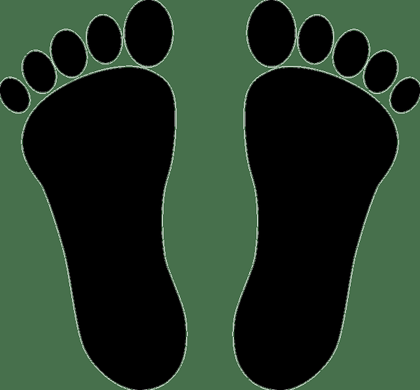 Différence entre pieds et pieds