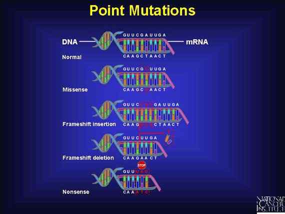 Perbezaan antara mutasi dan penggabungan